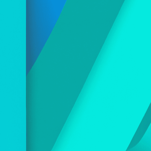 The Rise of Central Bank Digital Currencies (CBDCs): What You Need to Know